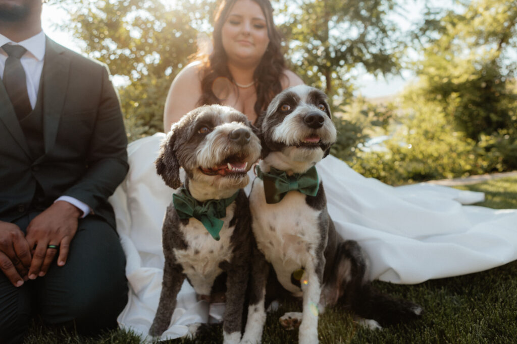 In the heart of Southern Utah, Riley and Nate tied the knot in an elegant and editorial wedding celebration. With all the attention to detail, this classic wedding came to life. This summer wedding was a celebration of love, style, and unforgettable moments that culminated in an epic dance party.