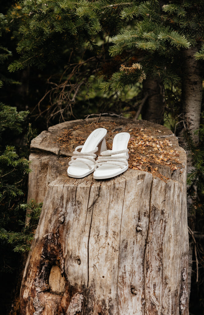 Brian Head Wedding, Brian Head cabin wedding, Utah cabin Wedding, Cabin wedding photographer 