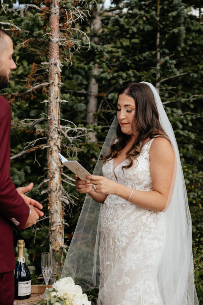 Brian Head Wedding, Brian Head cabin wedding, Utah cabin Wedding, Cabin wedding photographer 