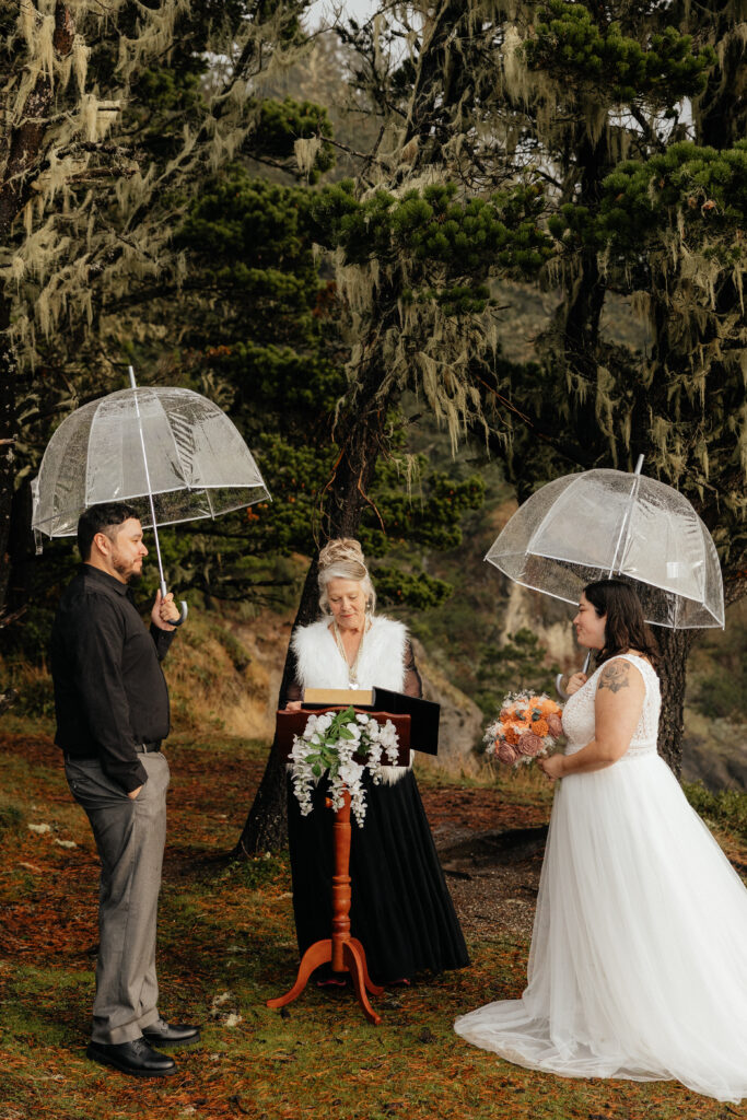 brooking elopement, oregon coast elopement, natural bridges elopement, secret beach elopement, Oregon Elopement photographer