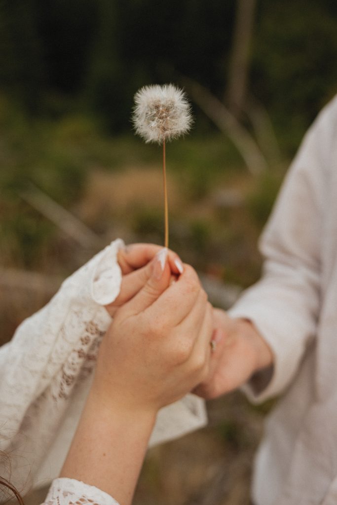 Dakota and Rowdy's hands holding a dandelion together